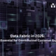 Data Fabric for Customer Experience